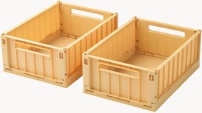 Set di 2 scatole portaoggetti per bambini Weston