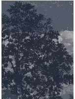 Isidore Leroy Carta da parati panoramica Eclipse Clair Obscur - Panel C