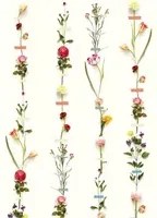 Eijffinger Carta da parati Flower Garland - Multicolor
