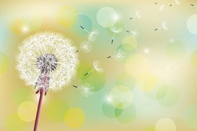 Carta da parati – Soffione Giallo su Sfondo Astratto