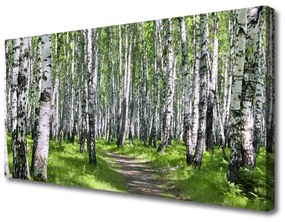 Stampa quadro su tela Alberi del percorso della natura della foresta 100x50 cm