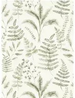 Clarke & Clarke Carta da parati Bracken - Natural