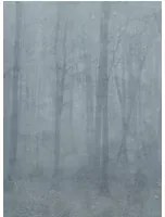 Sandberg Wandbild Skog - Misty Blue