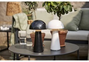 Lampada da tavolo dimmerabile a LED bianchi (altezza 28 cm) Mushroom - Star Trading