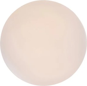 Rabalux 71101 - Plafoniera LED VENDEL LED/12W/230V 3000K 25 cm