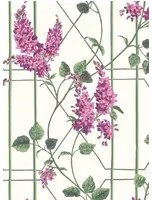 Cole & Son Carta da parati Wisteria - Magenta/ Leaf Green