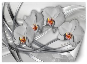Carta Da Parati, Orchidee astratte