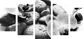 Quadri 5 pezzi – Bellissima armonia di pietre e orchidea in bianco e nero