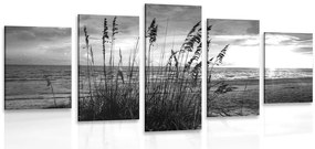 Quadri 5 pezzi – Tramonto sulla spiaggia in bianco e nero