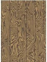 Cole & Son Carta da parati Zebrawood - Tiger
