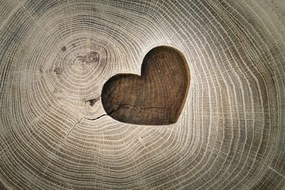 Carta da parati – Simbolo dell'amore su legno