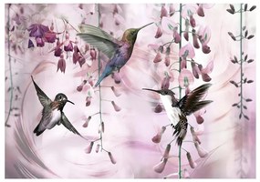 Fotomurale Flying Hummingbirds (Pink)