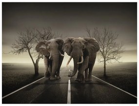 Fotomurale Città degli elefanti