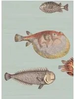 Cole & Son Carta da parati Acquario - blassblau/ bunt