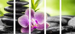 Quadri 5 pezzi – Composizione Zen tropicale