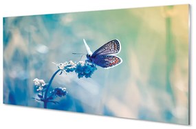 Quadro in vetro acrilico Farfalla colorata 100x50 cm