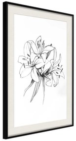 Poster  Sketch of Lillies  Cornice Quadri Cornice nera con pass-partout, Larghezza x Altezza Home decor 30x45