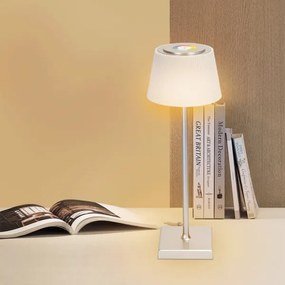 Aigostar - Lampada LED RGBW ricaricabile 4W/5V 3600mAh bianco/cromo IP54