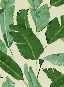 Mindthegap Carta da parati Banana Leaves - WP20111