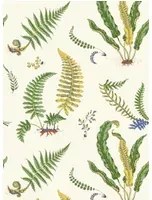GP & J Baker Carta da parati Ferns - Emerald