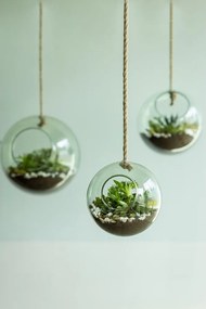 Aerario in vetro ø 15 cm - Esschert Design