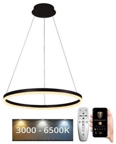 Brilagi - Lampadario a sospensione con filo LED dimmerabile CIRCLE LED/42W/230V 3000-6500K + +TC