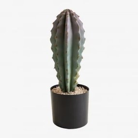 Cactus Stenocereus artificiale 37 cm ↑37 cm - Sklum