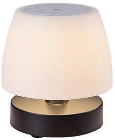 Rabalux 7040 - Lampada LED da tavolo dimmerabile ODERA LED/3W/5V 2000 mAh IP44