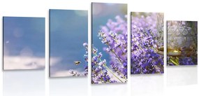 Quadri 5 pezzi – Giardino di lavanda