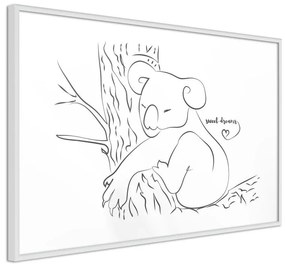 Poster Resting Koala