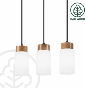 Lampadario sospeso su cavo MARKUS 3xE27/15W/230V nero/rovere