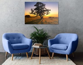 Quadro su tela – Albero solitario al tramonto