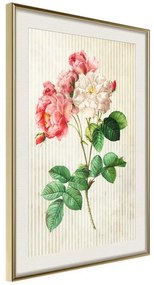 Poster  Romance II  Cornice Quadri Cornice d'oro con passe-partout, Larghezza x Altezza Home decor 20x30