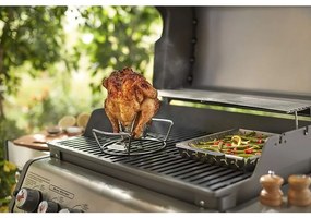 Supporto Di Cottura Per Pollo Silver 6482 - Weber