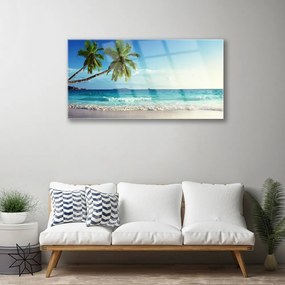 Quadro vetro acrilico Mare spiaggia Palma Paesaggio 100x50 cm