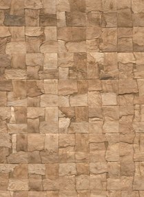 Arte Carta da parati Alba - Bark