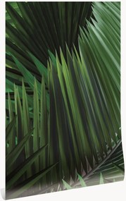 Carta da parati in tessuto non tessuto Palm