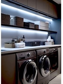 Striscia LED LED/50W/12V 5 m 6500K IP65