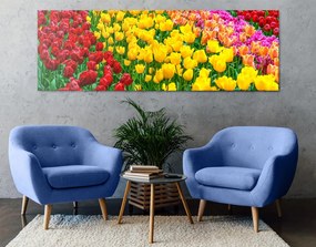 Stampa su tela – Giardino pieno di tulipani