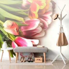 Carta da parati – Bouquet di tulipani