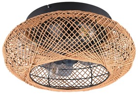 Plafoniera marrone con telecomando e ventilatore Lillesand – Trio