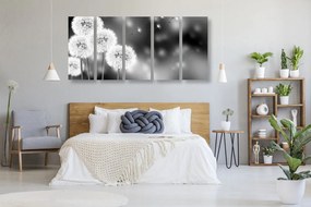 Quadri 5 pezzi – Dente di leone soffice in bianco e nero