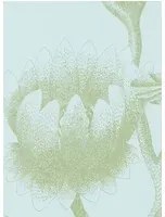 Cole & Son Carta da parati Lily - eisblau/ umbra
