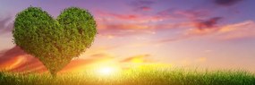 Stampa su tela – Albero a forma di cuore nel prato