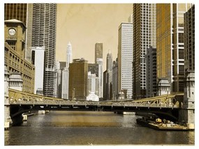 Fotomurale Un ponte di Chicago (effetto vintage)