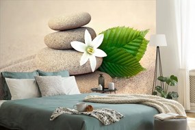 Carta da parati – Fiore bianco e pietre nella sabbia