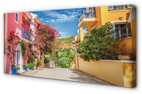 Quadro stampa su tela Grecia Flowers Buildings Mountain 100x50 cm