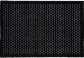 Zerbino Dot