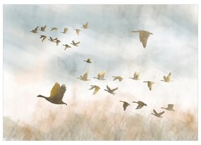 Fotomurale  Golden Geese  Larghezza x Altezza Home decor 400x280