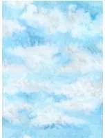 Mindthegap Carta da parati Nouage - Blue/ White